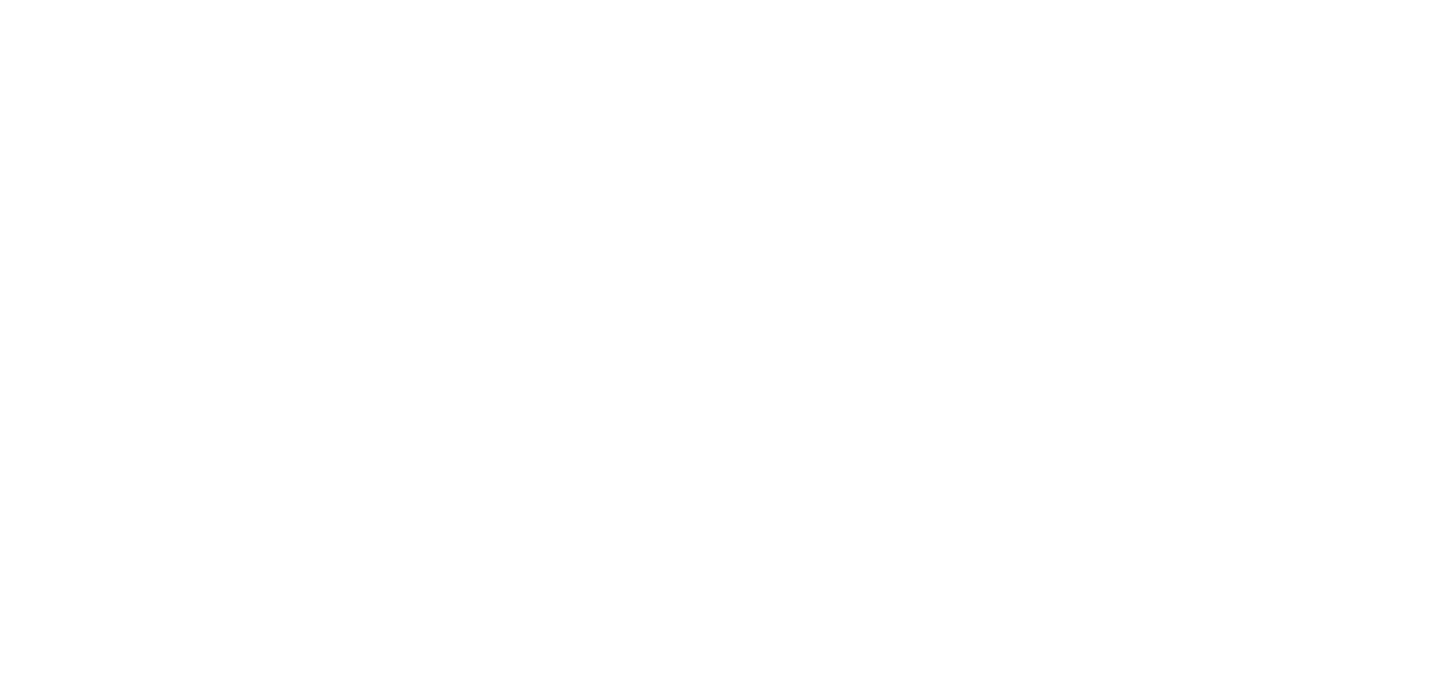 EU Logo